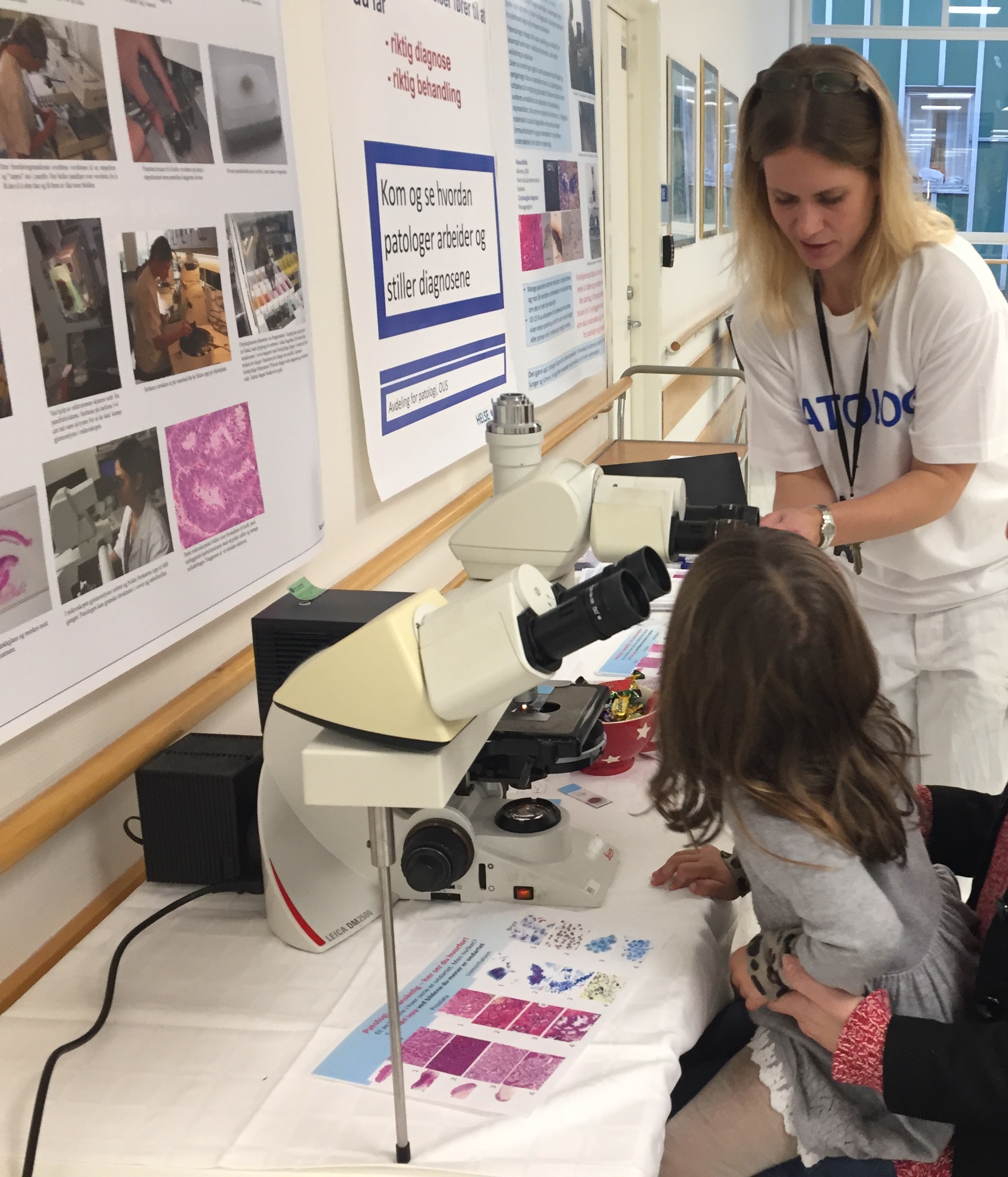 sigrid bjørnstad ullevål