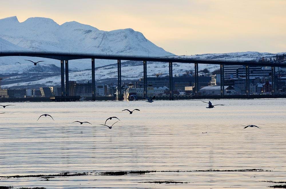 Tromsø by fra sjøen. Bilde fra colourbox.com
