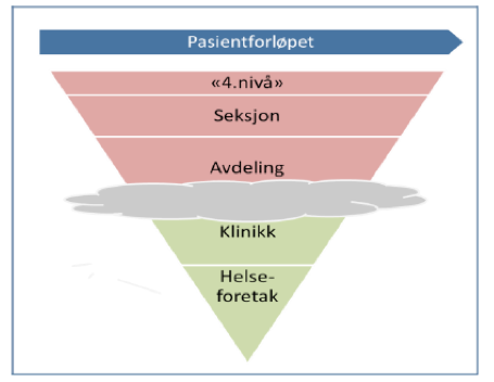 Pasientfoløpet figur