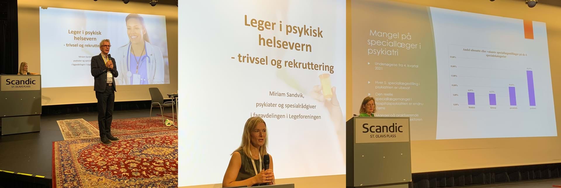 Fra venstre: Lars Lien med innledningsforedrag, Miriam Sandvik fra Legeforeningen og dansk kollega Lene H&#248;gh. Foto: Anne Kristine Bergem.