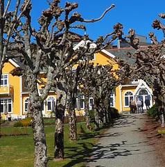 Bilde av Solstrand.