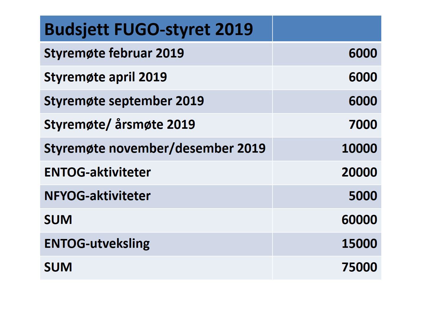 Budsjett 2019