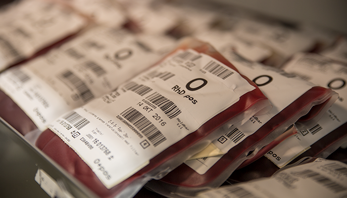 Eksempelbilde av poser med blod. FOTO: Thomas Barstad Eckhoff/Legeforeningen