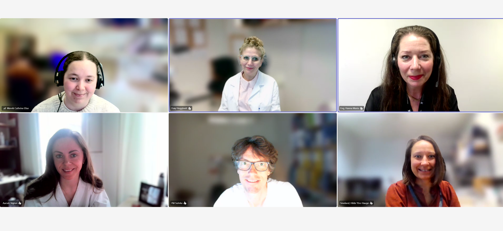 Foto fra styremøte på teams: Øverst fra venstre: Cathrine Elise Warvik (styremedlem, Universitetssykehuset Nord Norge), Frøy Heggtveit (kasserer, sykehuset Innlandet, Lillehammer), Hanna Maria Eng (leder, p.t permisjon fra Akershus universitetssykehus (Statsforvalteren)) Nederst fra venstre: Sigrun Aarset (nettansvarlig, St. Olavs Hospital), Pål Suhrke (nestleder, Sykehuset i Vestfold, Tønsberg), Hilde Ytre-Hauge Smeland, styremedlem, Haukeland universitetssykehus) Ikke avbildet er varamedlem: Leif Roland Kørner (Akershus universitetssykehus)