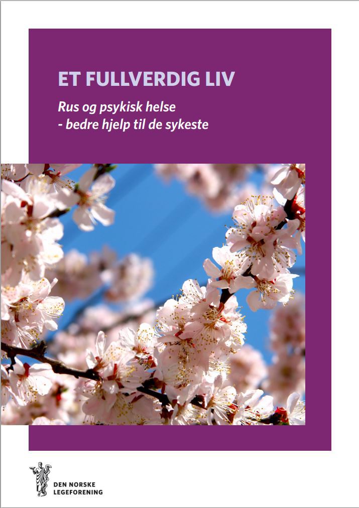 Forsiden på rapporten - Et fullverdig liv
