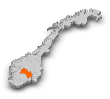 Kart over Buskerud fylke. Illustrasjon.