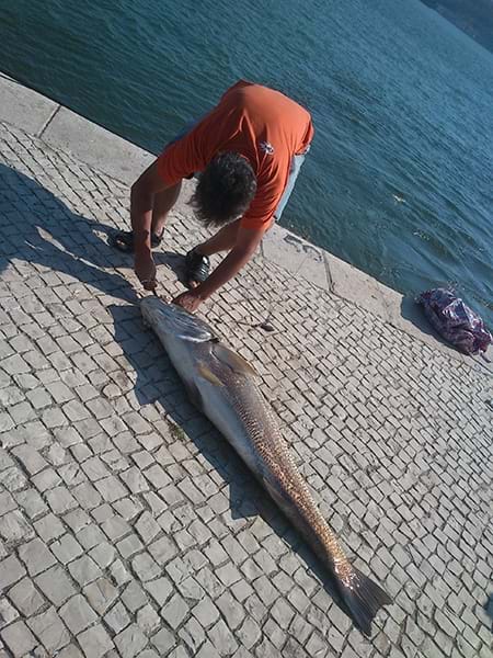 Fiske i Rio Tejo - utenfor kongresssenteret