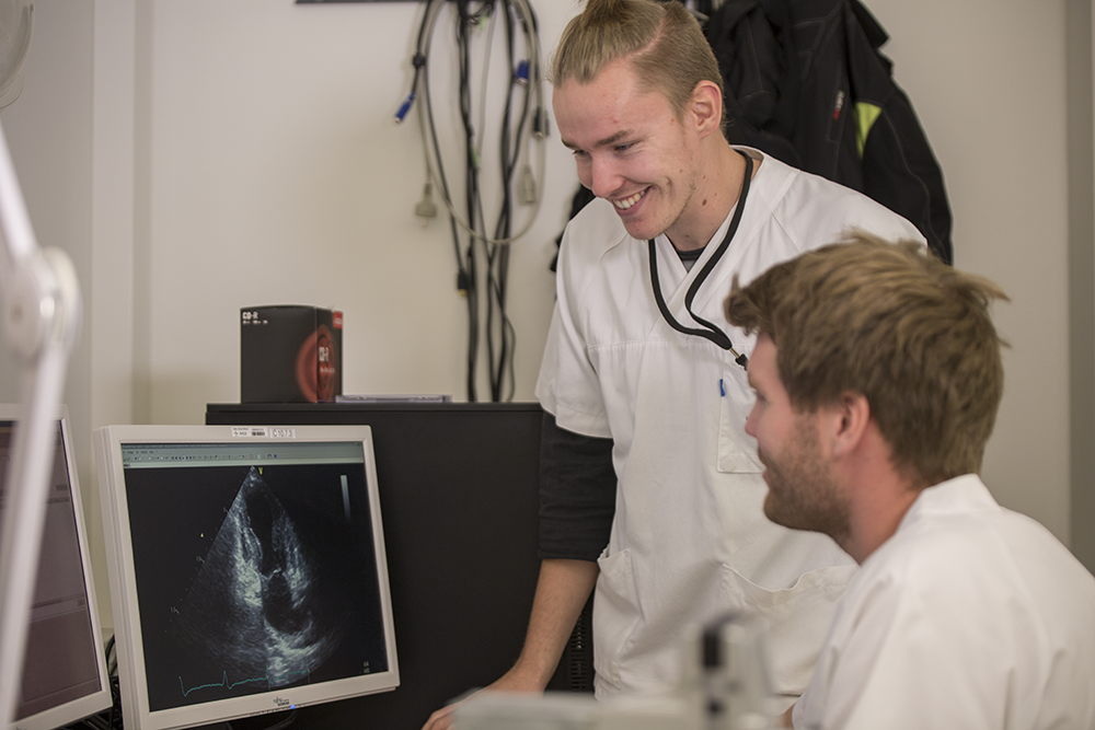 Turnus søknad tips Turnus søknad tips