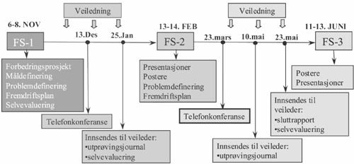 Figur 2. Oversikt over prosjektperioden.