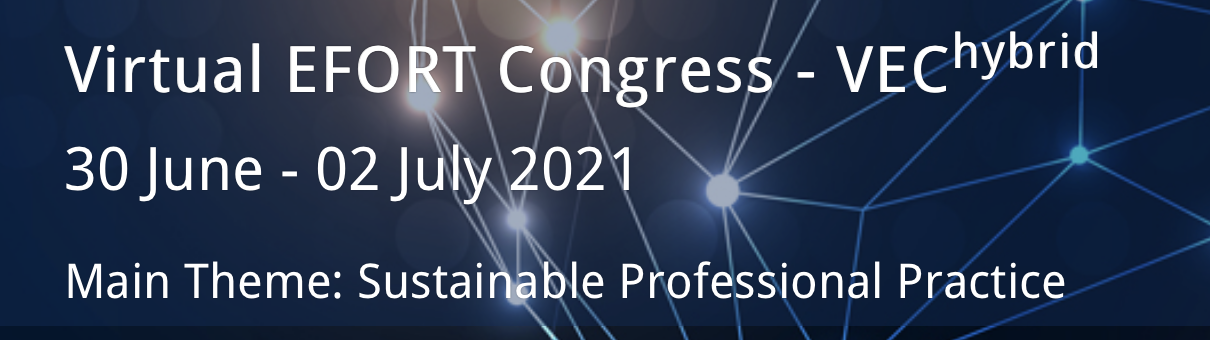 2021 VEC logo by Efort
