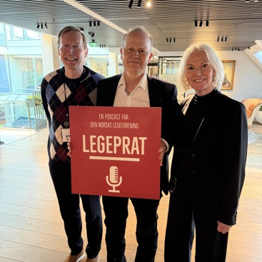 Fra venstre: Erlend Hem, Tore Rem & Berit Bringedal