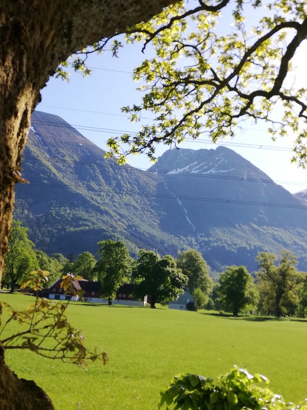 Utsikt mot fjellene