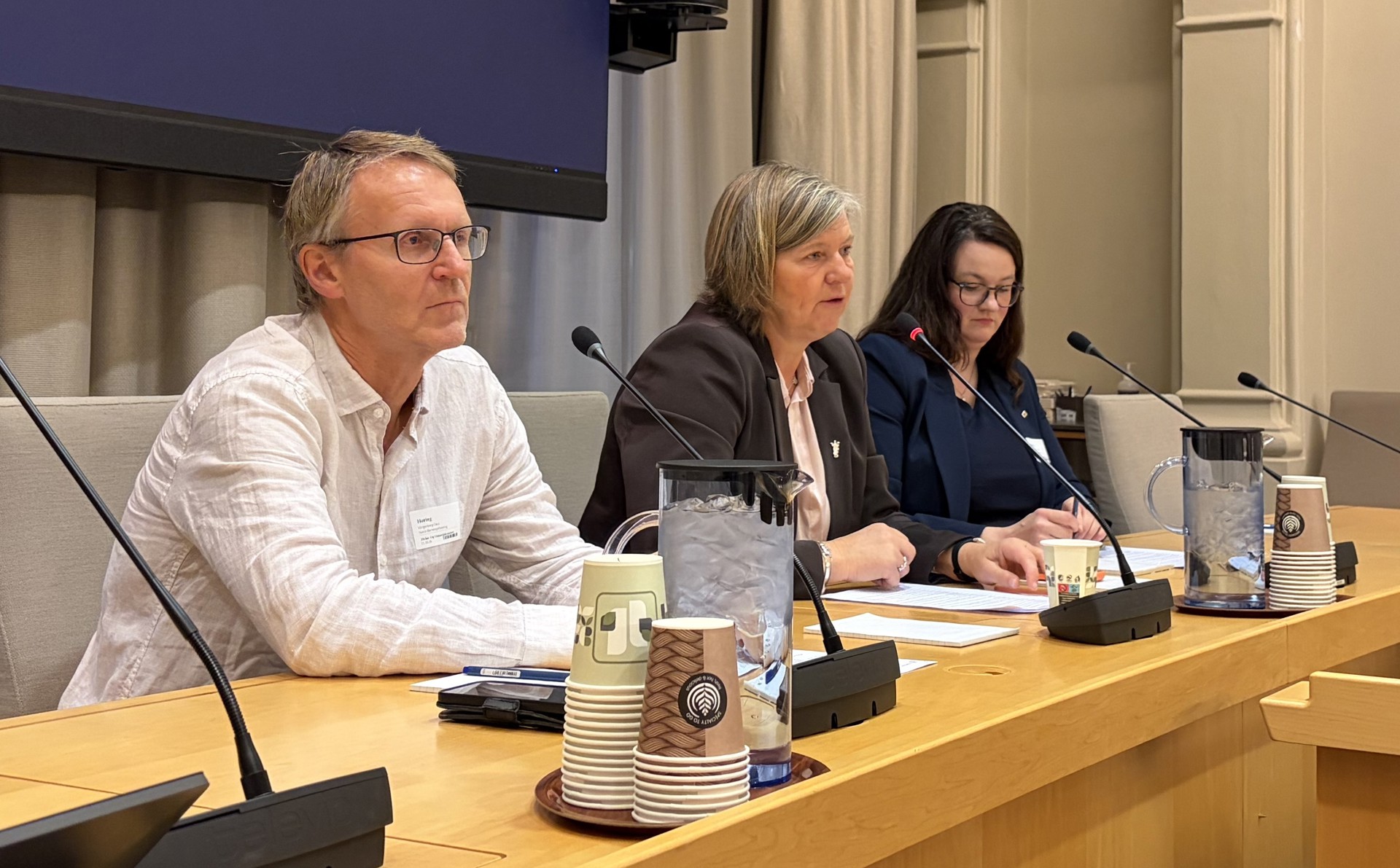 Bilde fra høring på Stortinget