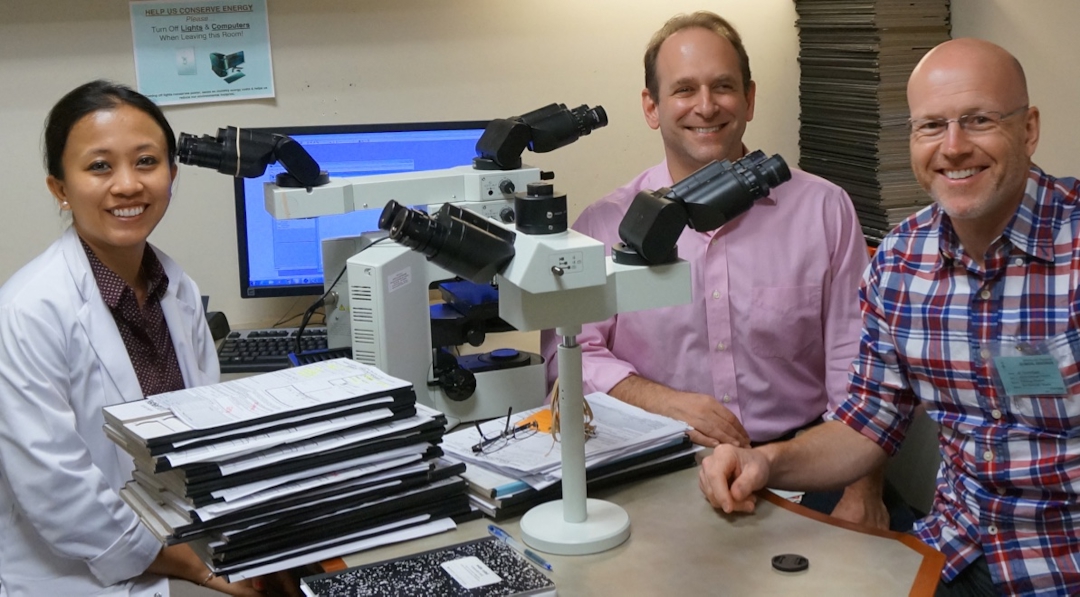 Tormod eggen og robert soslow