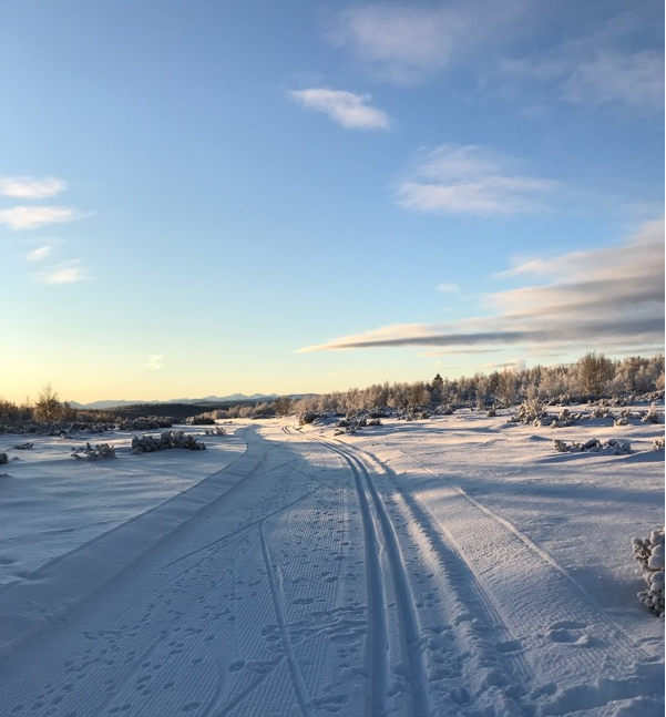 God jul 