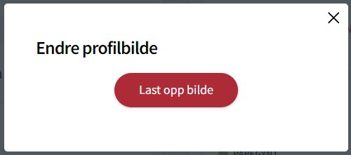 Skjermbilde av last opp profilbilde