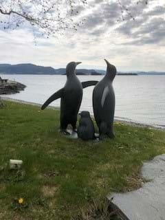 Pingvinstatue utenfor Solstrand hotell. Foto: Privat