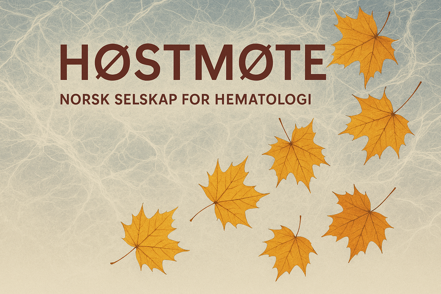 Høstemøte NSH Copilot
