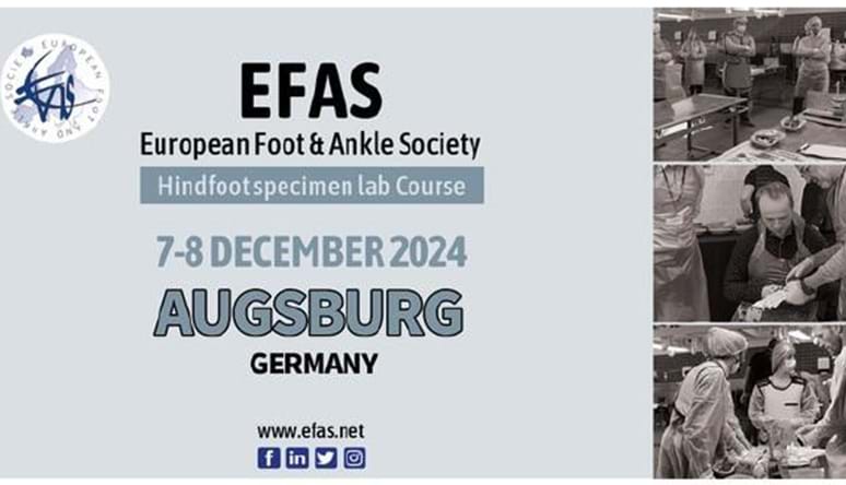 EFAS-banner for Augsburg 7-8. desember 2024.