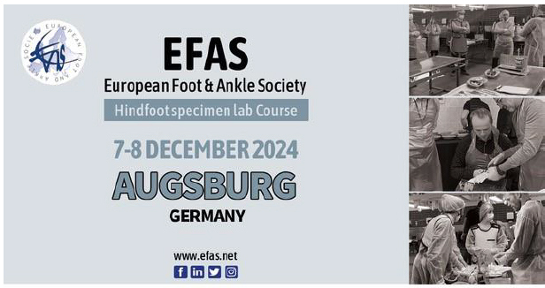 EFAS-banner for Augsburg 7-8. desember 2024.
