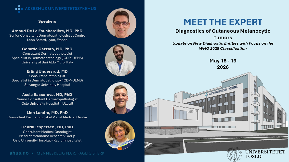 meet the expert flyer