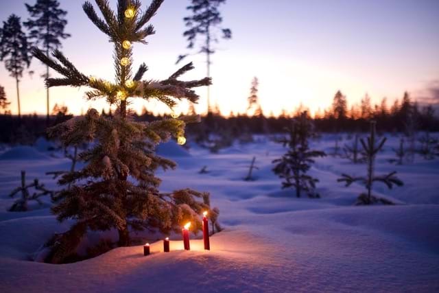 Vinterbilde fra Hedmark