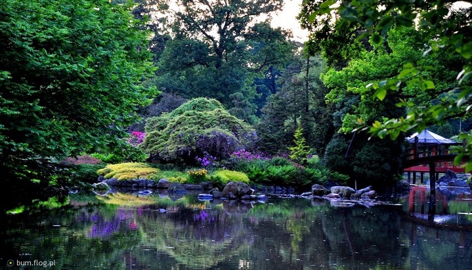 Szczytnicki parken- Den japanske hage