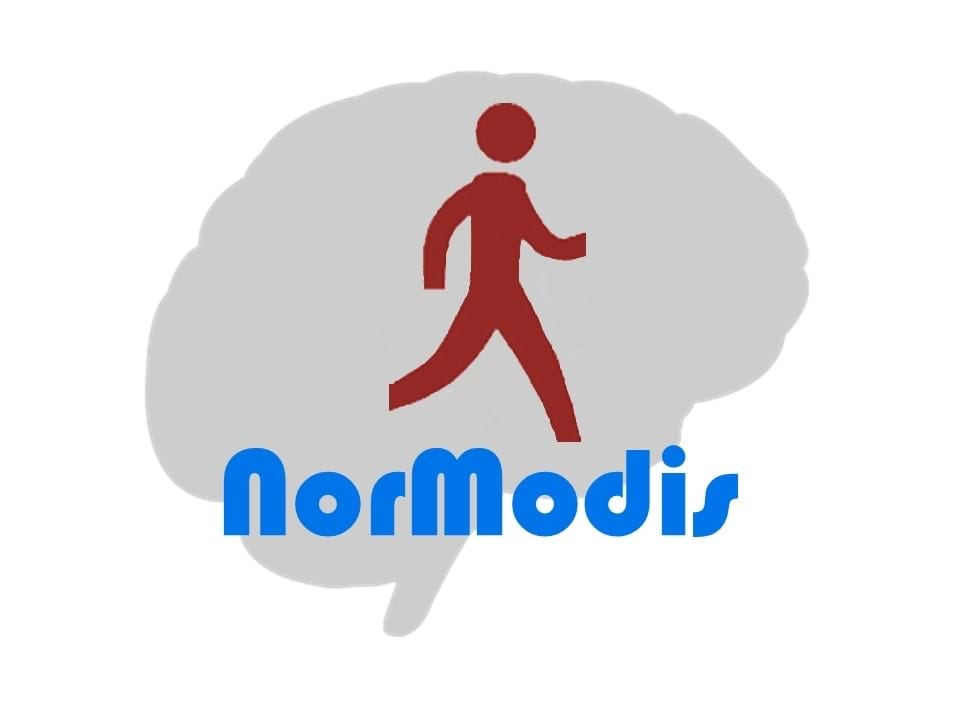 NorModis sin logo