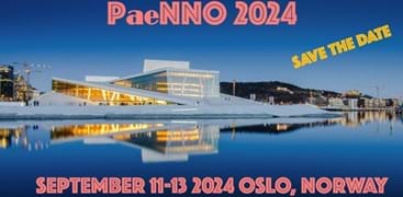 PaeNNO 2024 plakat. Foto: Norsk nevroradiologisk forening