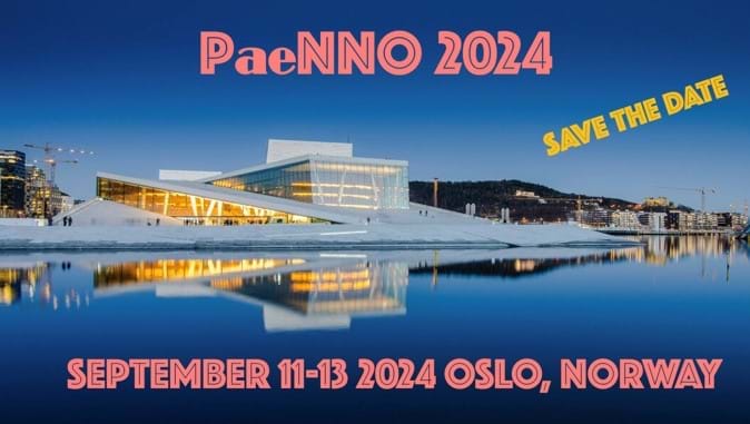 PaeNNO 2024 plakat. Foto: Norsk nevroradiologisk forening