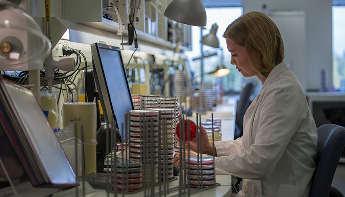 Eksempelbilde av arbeid på en medisinsk mikrobiologisk lab. FOTO: Thomas Barstad Eckhoff/Legeforeningen