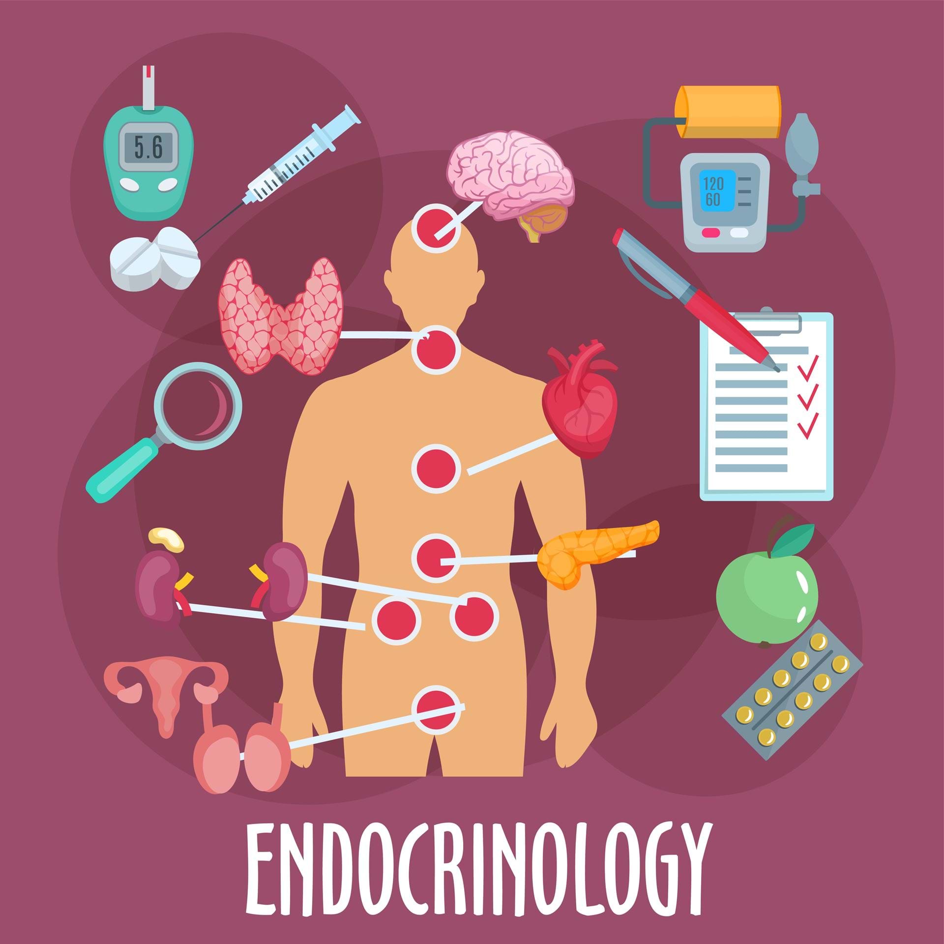 Kropp og behandling endokrinologi