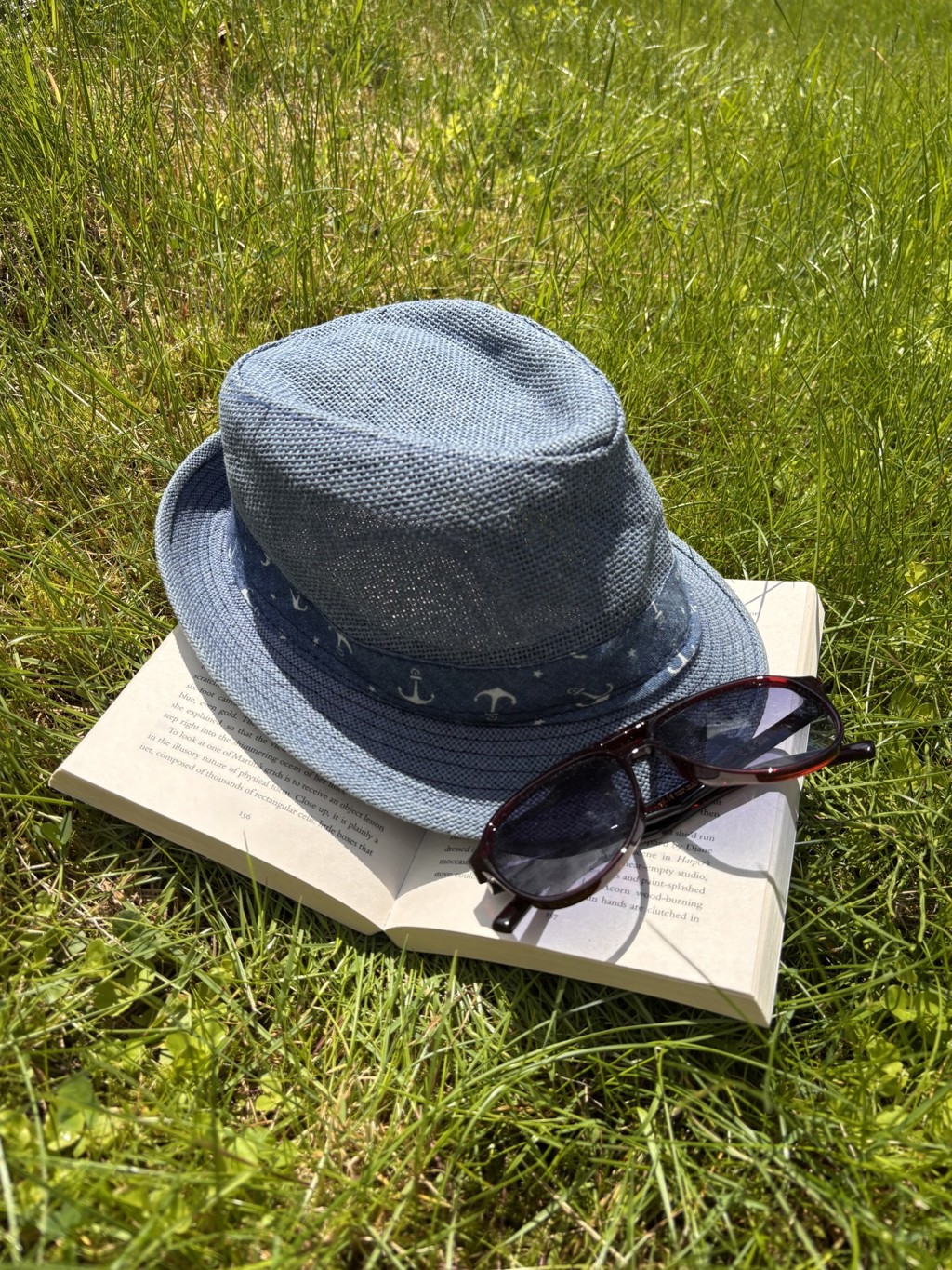 hatt solbriller og bok på gras