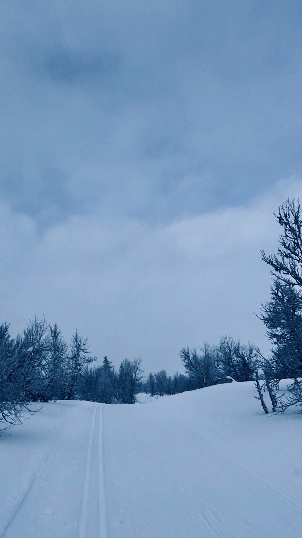 ski