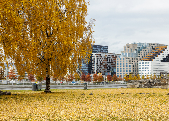 Bilde av Oslos skyline. Foto: Ekely/iStock