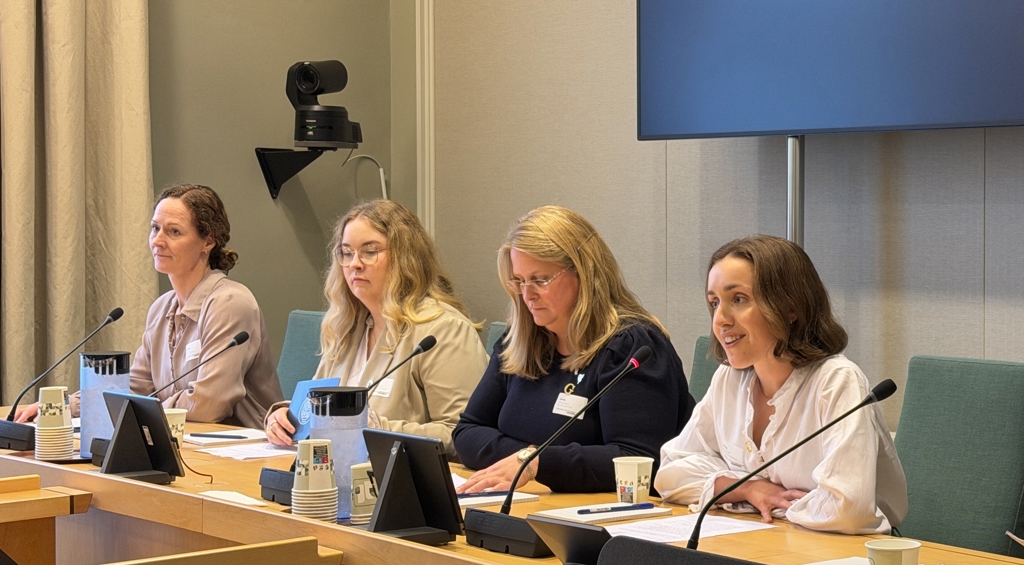 Bildet er fra en høringssal på Stortinget. Fire kvinner sitter bak en pult med mikrofoner på. Kvinnen fra venstre har brunt hår i en knute i nakken, og hun har lyselilla skjorte. Ved siden av henne sitter en ung kvinne med langt, lyst hår, briller og beige skjorte. Deretter sitter en kvinne med langt, lyst hår, briller og sort genser. Til slutt sitter en ung kvinne med brunt hår til haka. Hun har på seg hvit skjorte og snakker i mikrofonen foran seg.