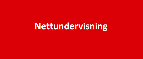 Nettundervisning-logo1