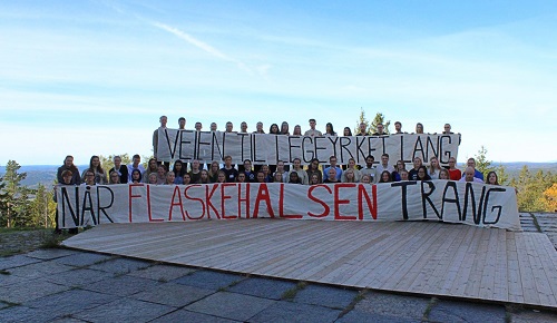 De nasjonale tillitsvalgte for Nmf 2019