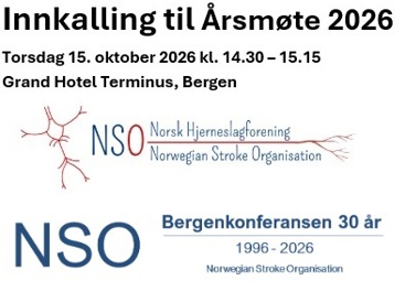 Innkalling årsmøte NSO logo