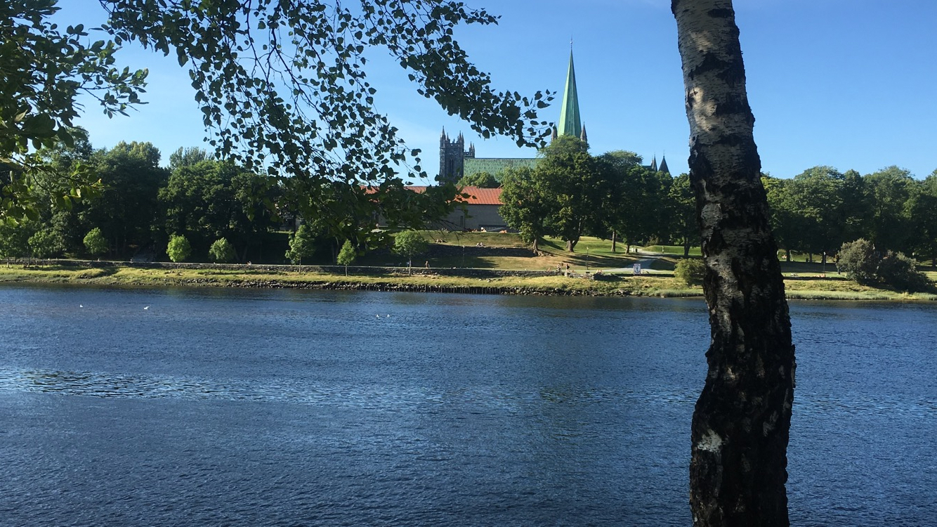 bilde av Nidelven