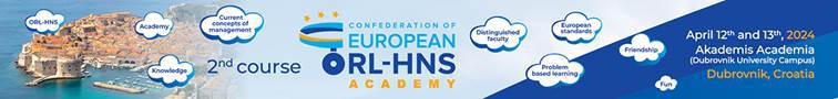 Logo for CEORL-HNS og bilde av Dubrovnik