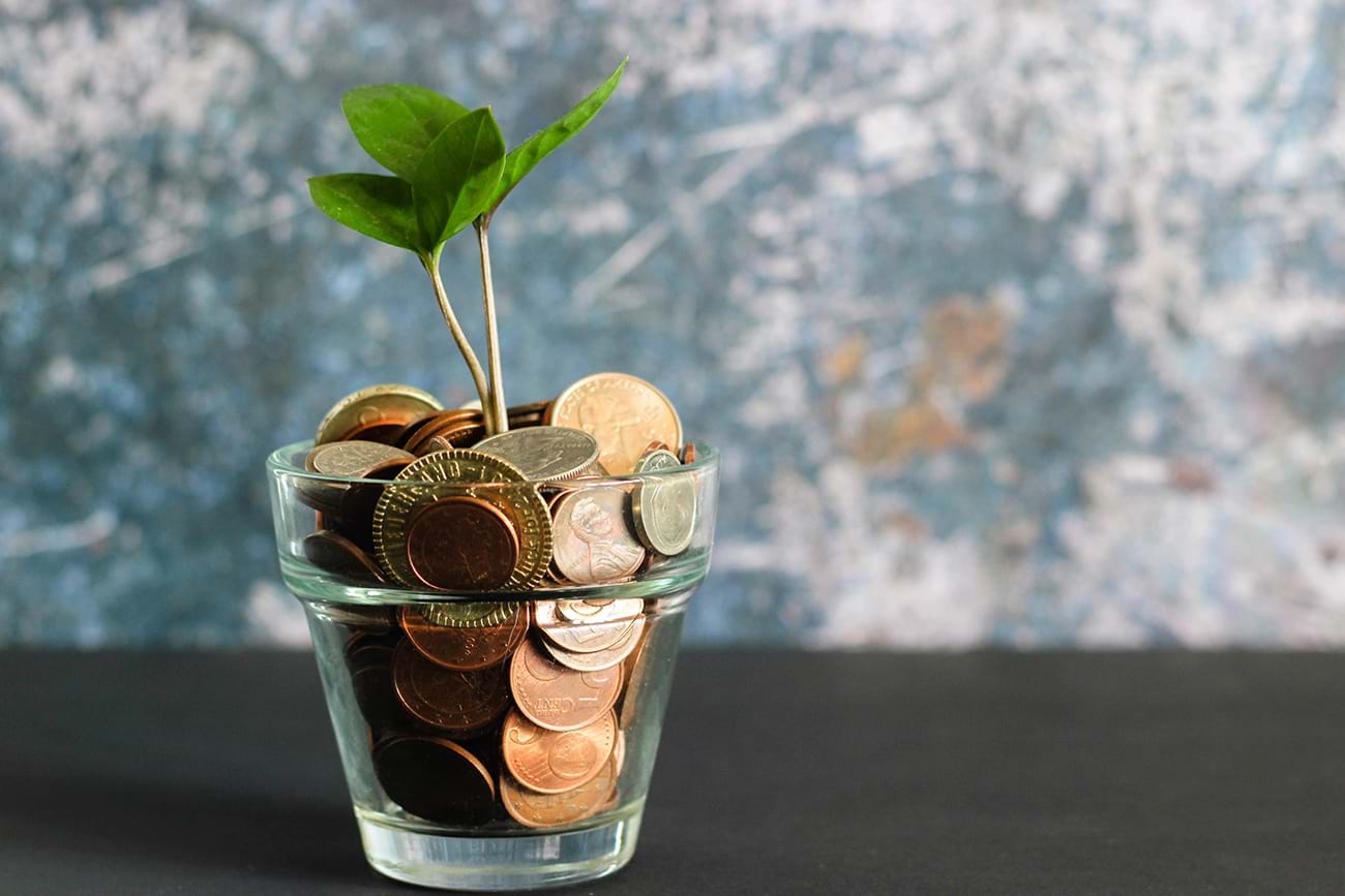 Bilde av en krokker med plante og penger.