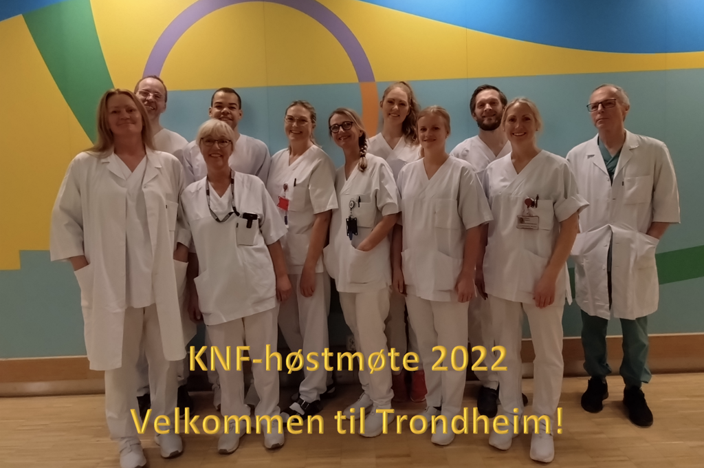 Bildevelkommentekst