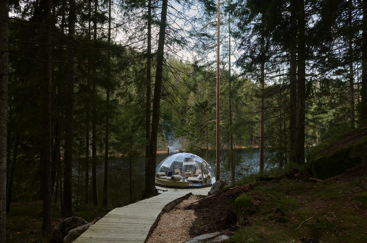 Glassiglo i skogen ved et vann. Foto: Akademikerne pluss