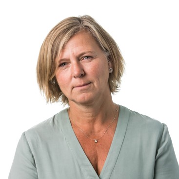 Bilde av Anka
