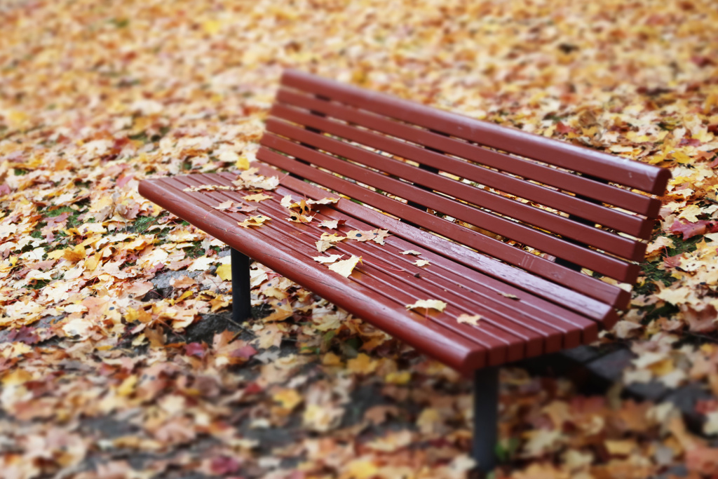 Mostphotos 	mp34377657