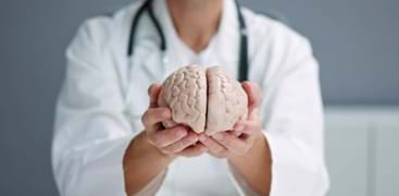 Bilde av en lege som holder en modell av en hjerne foran seg. Foto: Andrey Popov/Mostphotos