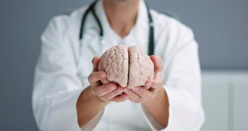 Bilde av en lege som holder en modell av en hjerne foran seg. Foto: Andrey Popov/Mostphotos