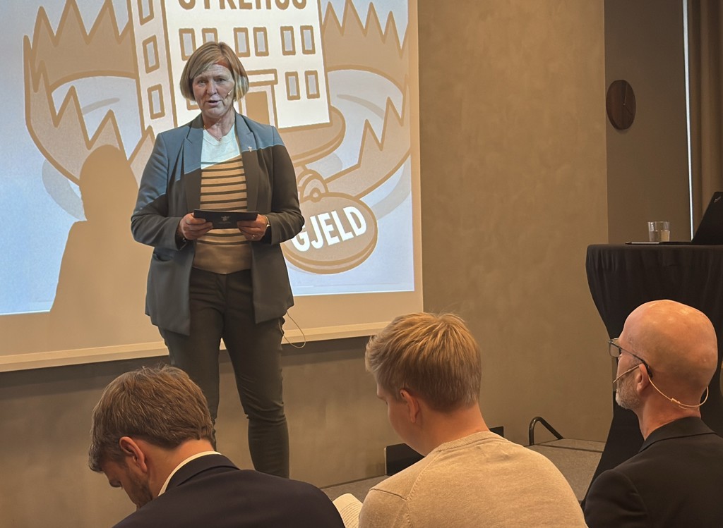 Bilde av Anne-Karin Rime under sykehusdebatten 2025.