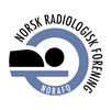 ny logo for Norafo